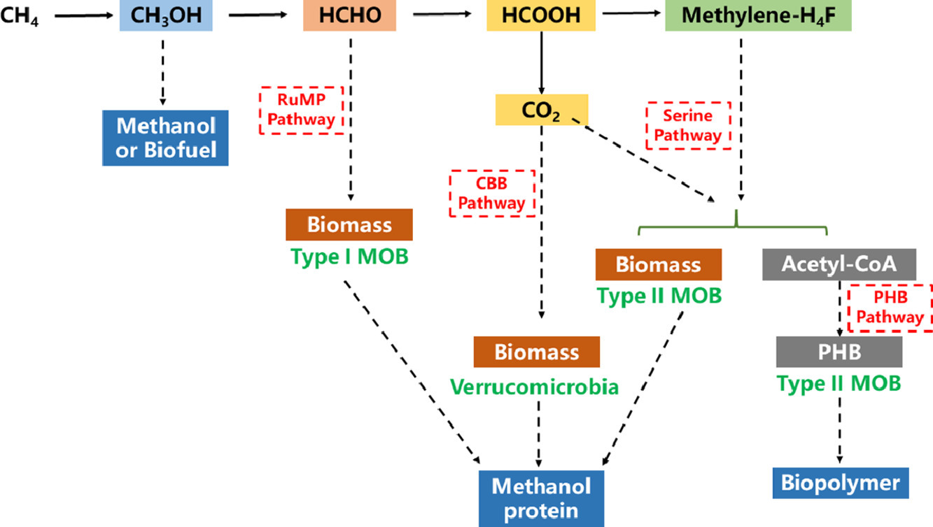 4/15/2021 New publication in Water Research