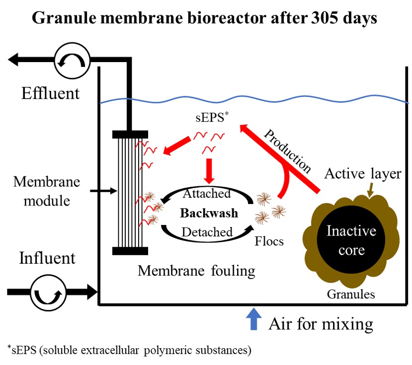 6/8/2021 Zhaohui and Xueyao published their GMBR paper in Processes