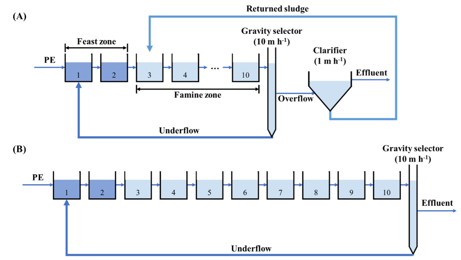 7/2/2021 Congratulate Zhaohui on his new publication on the topic of “Leveraging feast and famine selection pressure during startup of continuous flow aerobic granulation systems to manage treatment performance”!